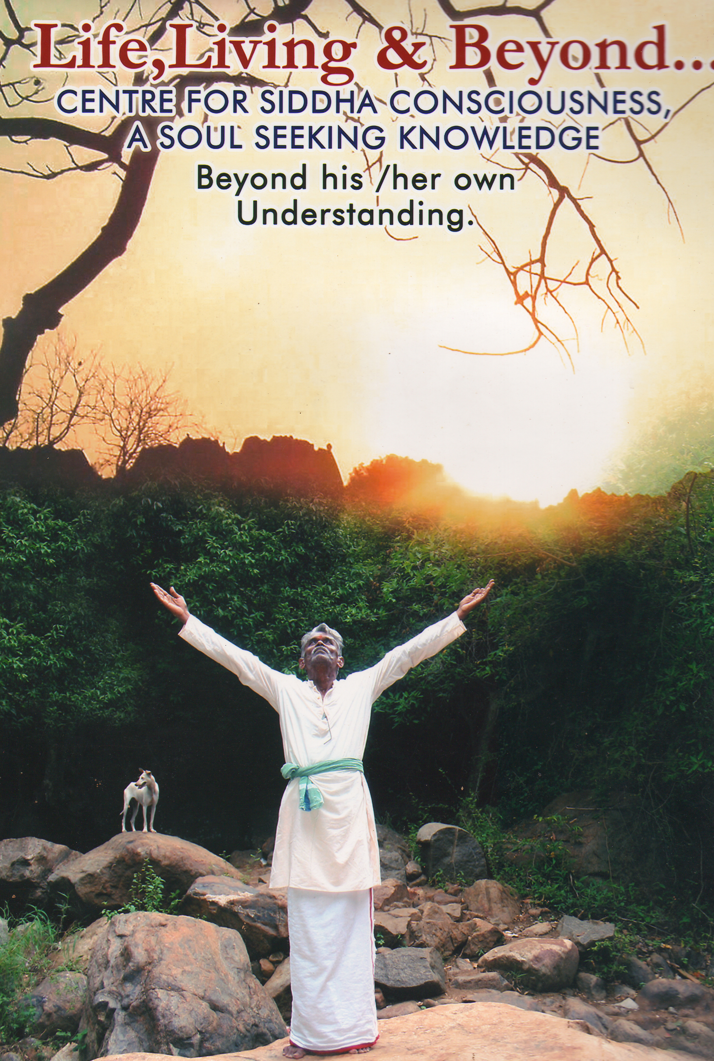 Beautiful garden design